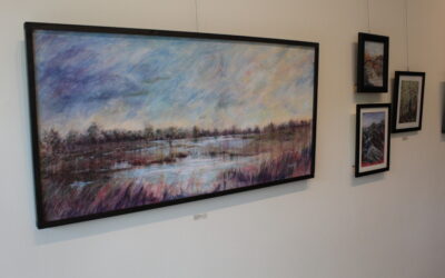 Lush Landscapes by Cary Moscato