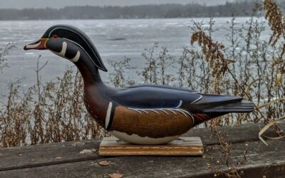 CANVAS, WOOD & CORK EXHIBIT